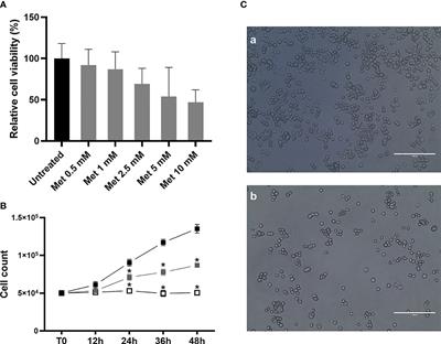 The anticancer effects of Metformin in the male germ tumor SEM-1 cell line are mediated by HMGA1